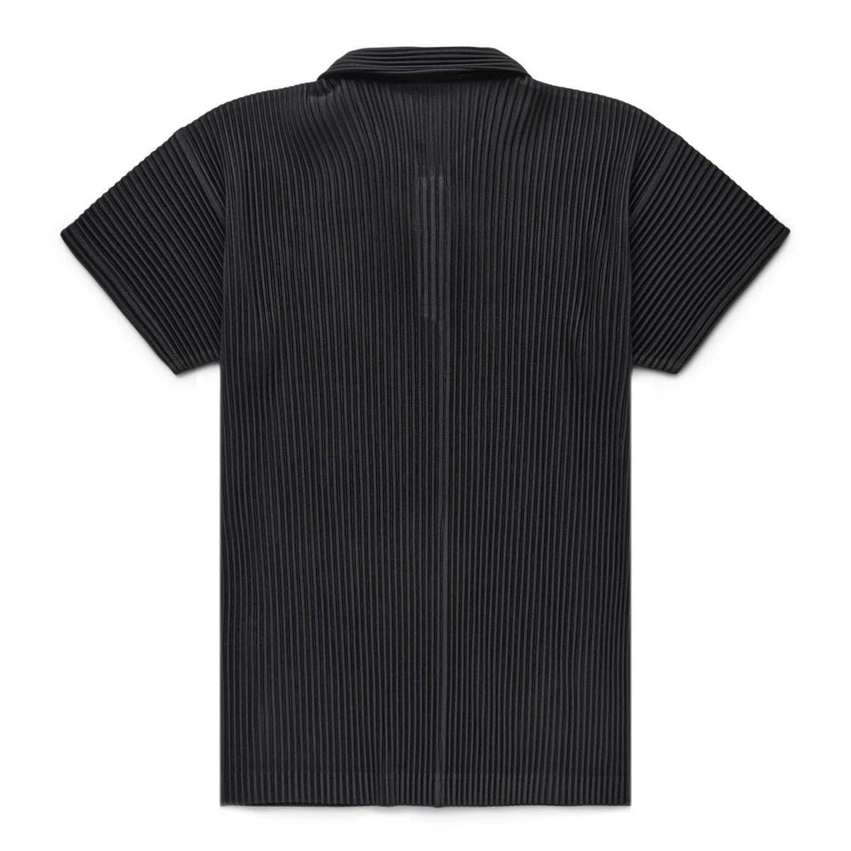 POLO 2 POLO - Image 2