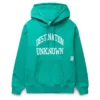 HEAVY WEIGHT COLLEGE PRINT HOODIE